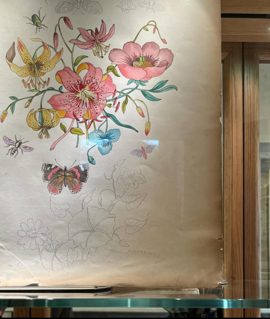 Uno dei disegni di Vittorio Accornero per Gucci