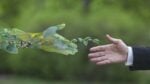 Insieme alla sostenibilità è la cultura il valore aggiunto necessario per un cambiamento